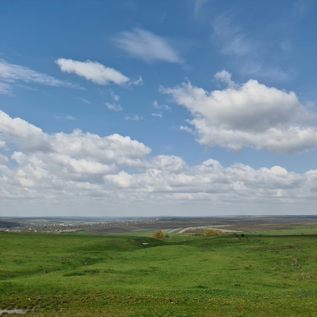 A green field with a blue sky and white clouds