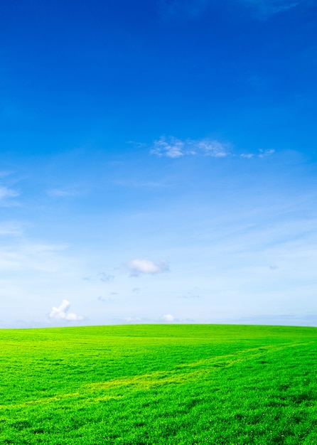 Green field with blue sky