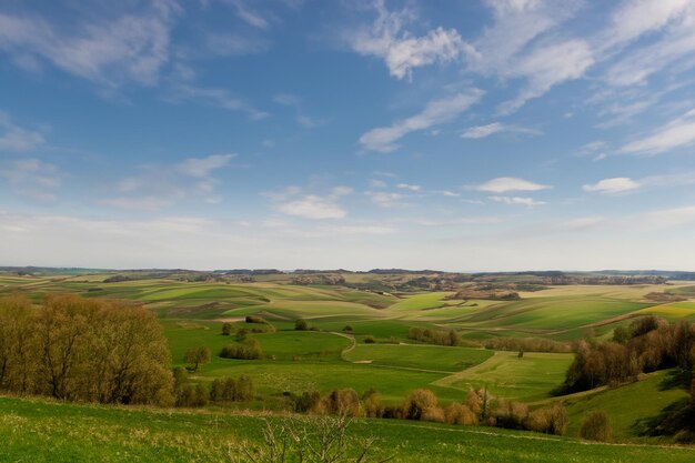 Photo a green field with a few trees and a blue sky with clouds