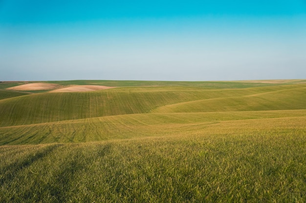 Green field with hills. Outdoor green field view with blue sky.