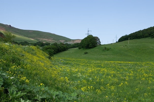 Green fields and hills in spring