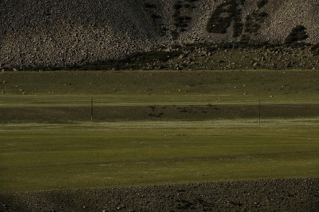 Green fields and slopes of the Altai Mountains