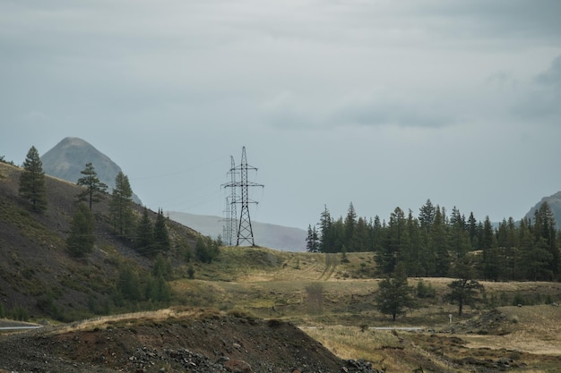 Green fields and slopes of the Altai Mountains