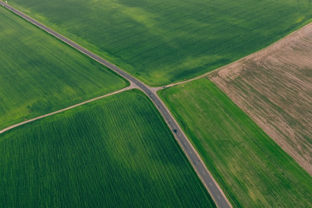 Green fields with wheat and a highway between them. Agriculture with altitude