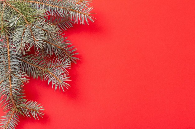 Green fir branches on red christmas background