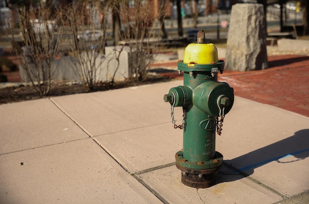 A green fire hydrant with a yellow cap on it.