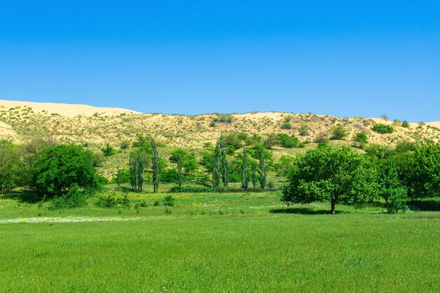 Green flowering valley with a large sand dune in the background