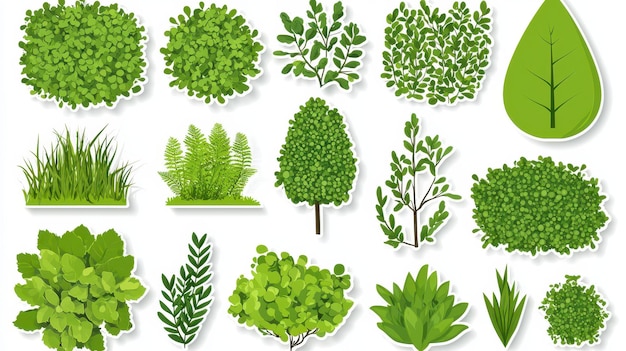 Photo green foliage stickers bushes trees grass ferns leaves nature elements