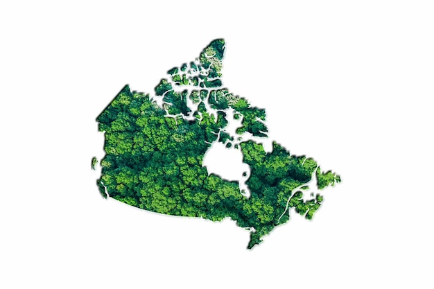 Green Forest Map of Canada, on white background