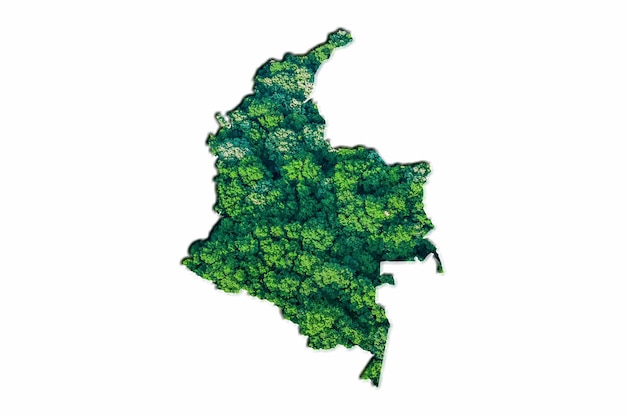 Green Forest Map of Colombia, on white background