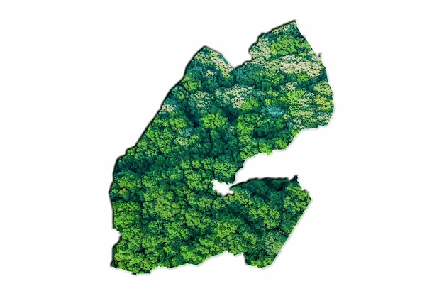 Green Forest Map of Djibouti, on white background