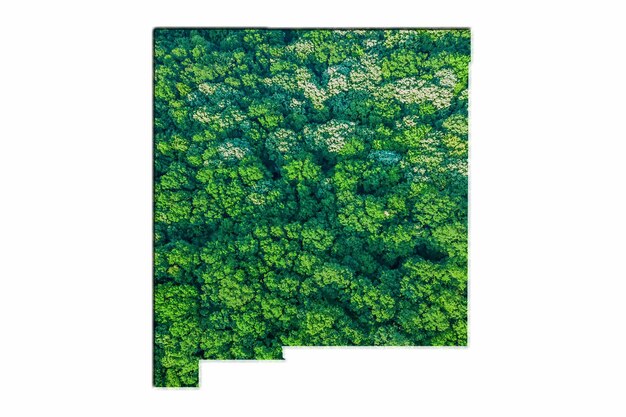 Green Forest Map of New Mexico, on white background