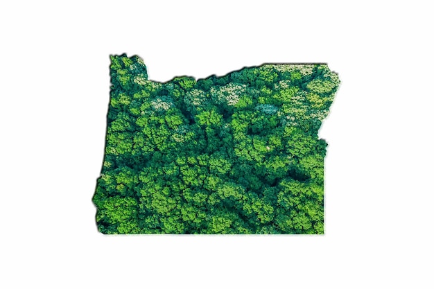 Green Forest Map of Oregon, on white background