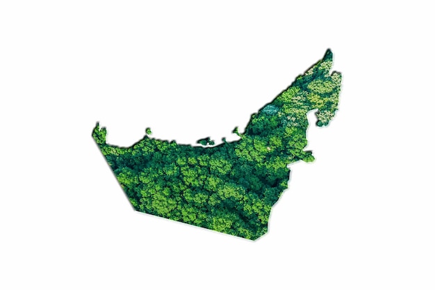 Green Forest Map of United Arab Emirates, on white background