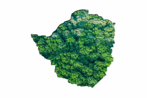 Green Forest Map of Zimbabwe, on white background