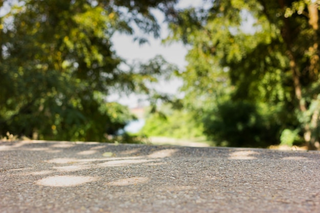 Green forest road 