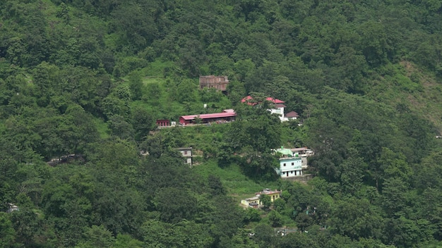 Green forest of uttarkhand image hd