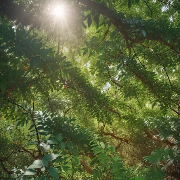 a green forest with the sun shining through the branches