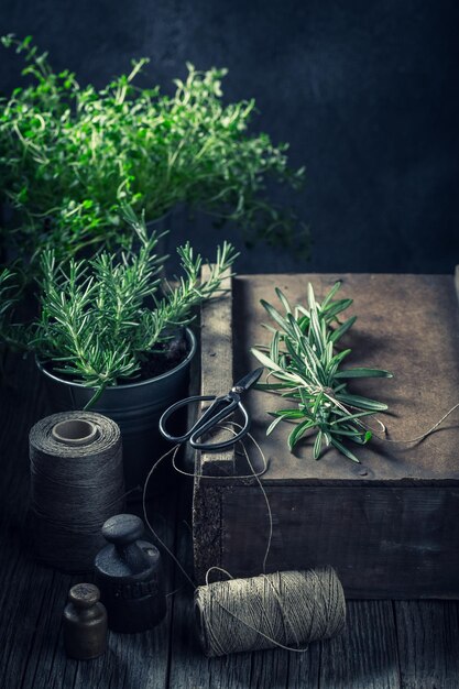 Green and fresh green herbs in a rustic kitchen