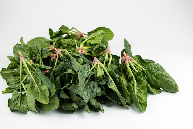 Green fresh organic spinach on the white background