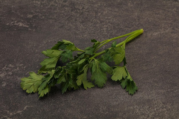 Green fresh parsley branch herb