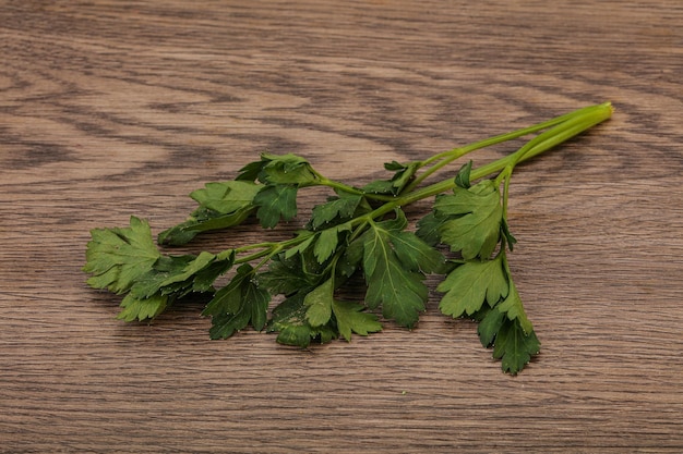 Green fresh parsley branch herb