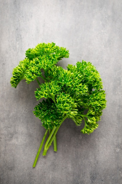 Green, fresh parsley on gray metal surface.