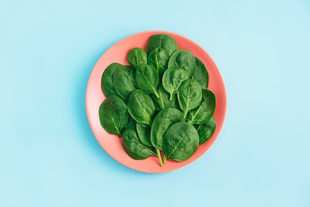 Green fresh vegetarian salad leaves on coral plate on blue