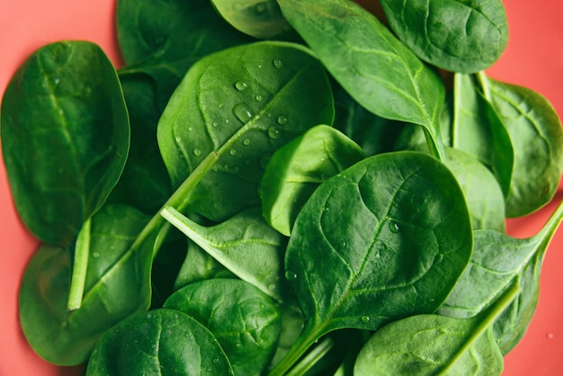 Green fresh vegetarian salad leaves on coral plate close-up.