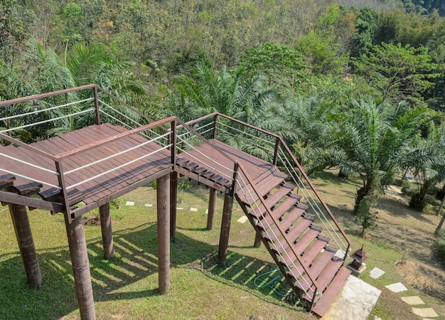 Green garden with staircase