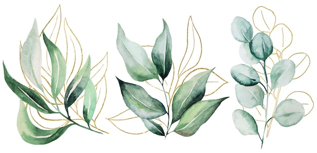 Green and Golden botanical watercolor leaves illustration wedding design single element