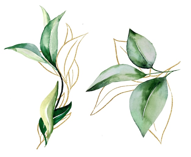 Green and Golden watercolor botanical  leaves illustration Elegant Element for wedding design greeting cards and crafting place for text