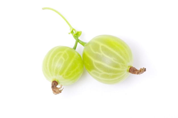 Green gooseberry fruit on white