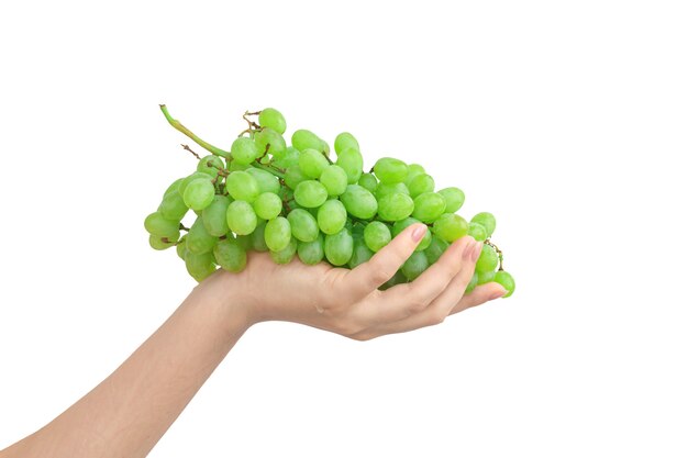 Green grape isolated on a white background. Woman hand holding ripe green grapes