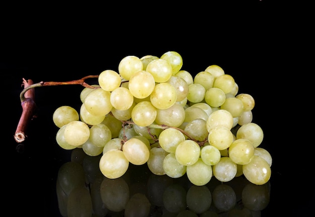 Green grape in studio