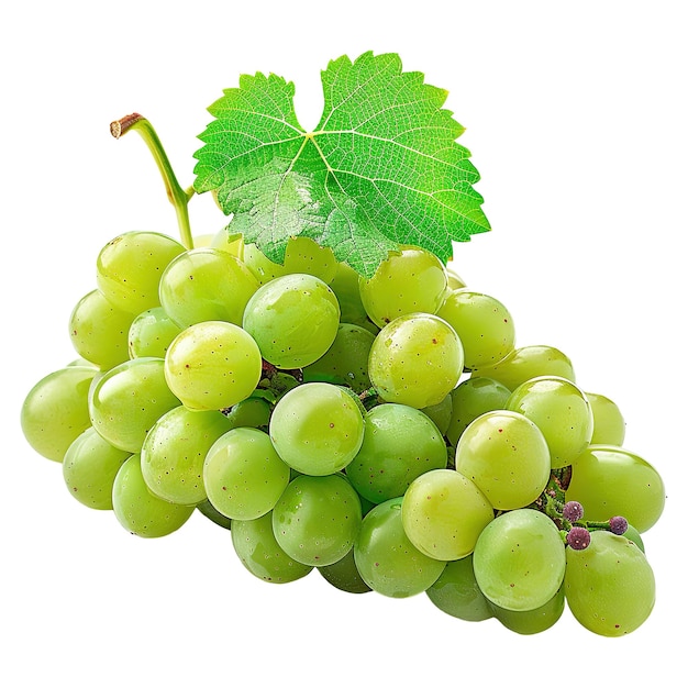 Green Grapes Bunch Featuring a Verdant Leaf Bursting with Juicy Flavor