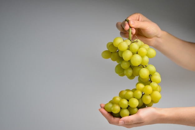 Green grapes in female hands healthy eating dieting vegetarian food concept