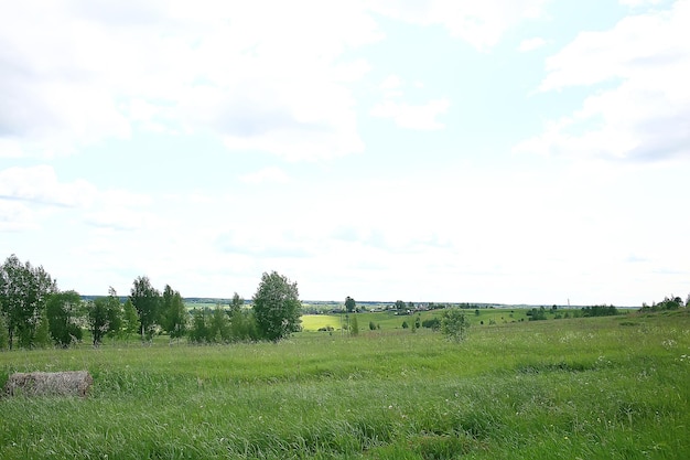 green grass background / abstract background, nature, fresh green vegetation, field