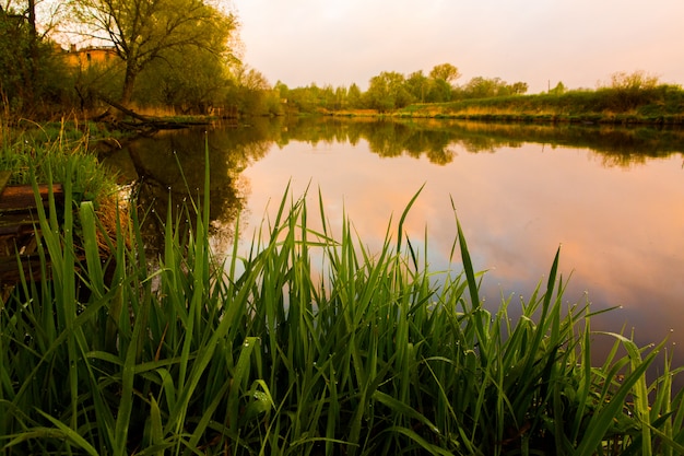 Green grass on background of river at the sunrise. Beautiful landscape of early morning nature