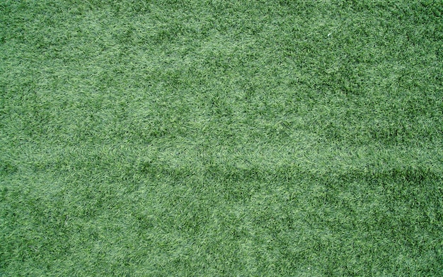 green grass background 