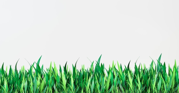 Green grass banner isolated on white Realistic Digital illustration Green grass stripes on white background 3d illustration