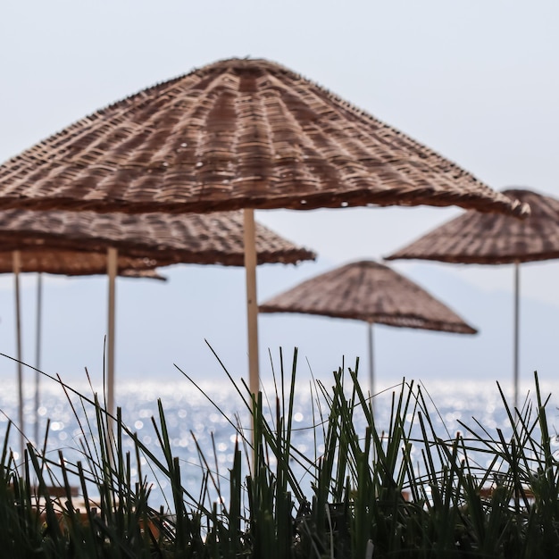 Green grass and beach sunshades against the backdrop of shining blue sea Summer vacation concept