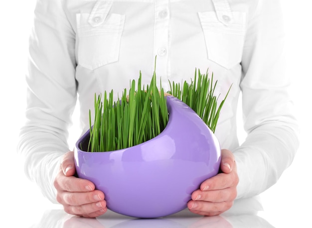 Green grass in decorative pot in hands isolated on white