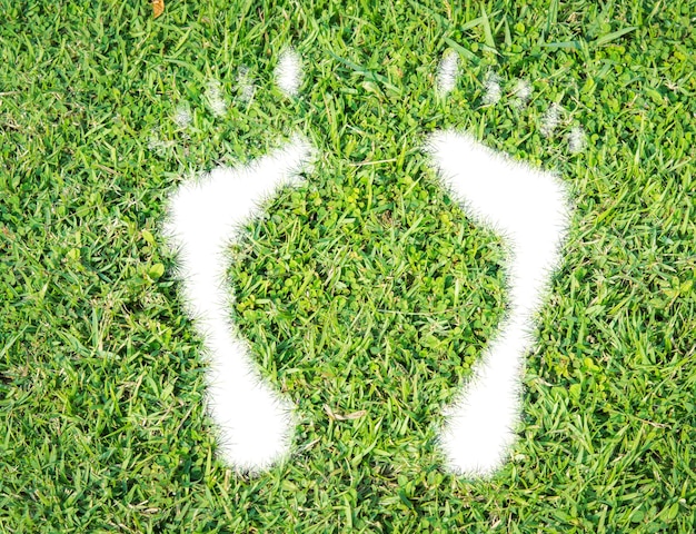 Photo green grass ecological footprint concept