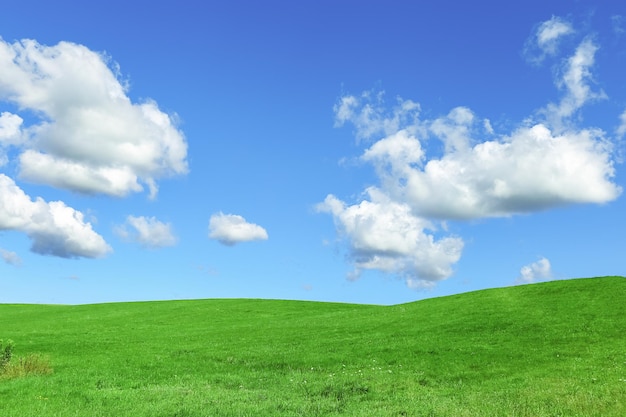 Green grass field and blue sky with clouds aesthetic nature background Idyllic grassland summer