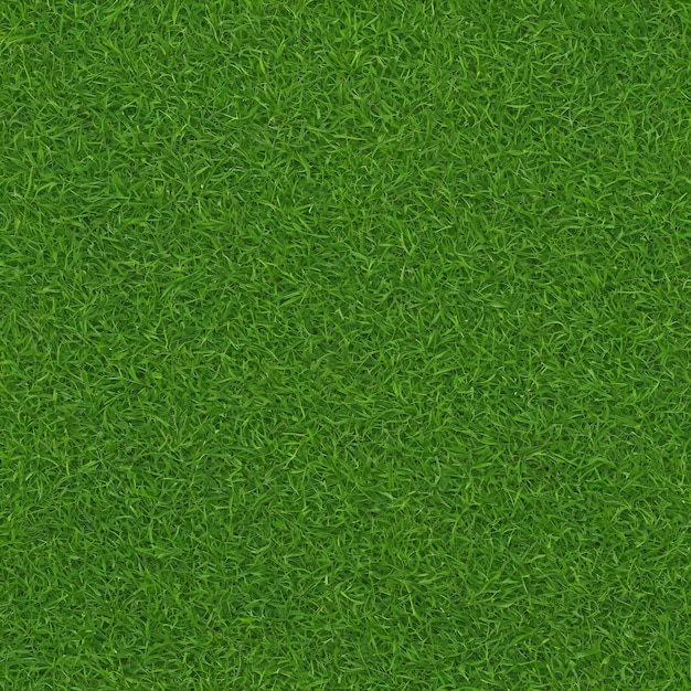 Photo green grass field close up