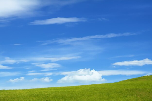 Photo green grass field with a blue sky and fluffy white clouds