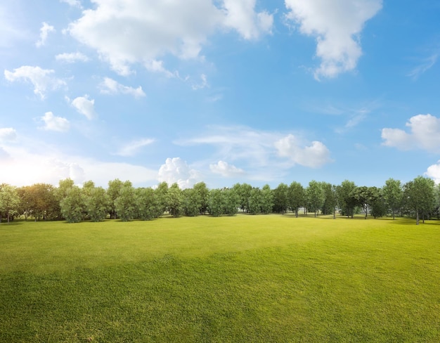 Green grass field with tree forest and cloudy blue sky