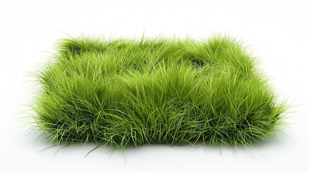 a green grass is grown for the home