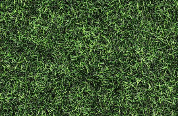 Photo green grass lawn with a green background